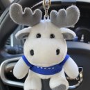 에이치 모터스(H MOTORS) 이미지