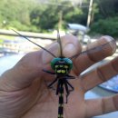 버들골농장 이미지