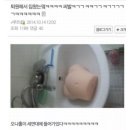 약육강식 8부 이미지