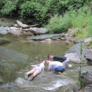 고병계곡 이미지