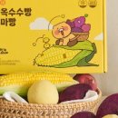 춘식이네 이미지