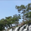 성포예술광장2 이미지