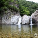 솔숲과 바다 이미지