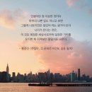 서경 Daum카페