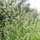 풍덕농장 이미지