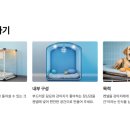 황금켄넬 이미지