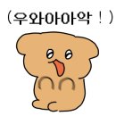 미아니아 이미지