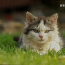 전병준동물병원 이미지