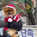 토우빈대떡 | 12월 | 2023 빠이