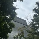 그랜드하얏트서울 | 그랜드 하얏트 서울 디너 후기 창가자리 및 할인정보