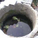양원리우물 이미지