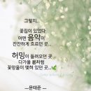 꽃집 종수에게 / 박연준 이미지