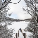 사라의 정원 이미지