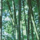 (주)그린팩키지