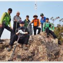 김길환농장 이미지