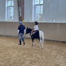 소노펠리체 승마클럽 | 홍천 비발디파크 소노펠리체 승마클럽, 5세 아이랑 가볼 만한 곳 체험 후기