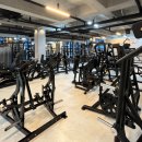 펠리스짐(능동점) 이미지