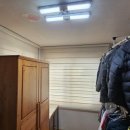 배영초등학교 이미지