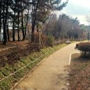 우면생태놀이터 이미지