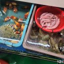 해삼수산 이미지