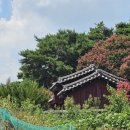 경운재 | 동구,도동 - 최치원의 문창후영당(文昌侯影堂)1755년