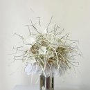 거제식물원 | 부산 주말 나들이 :: 명지 브런치 카페/ 거제 식물원 정글돔 등등 여행 후기