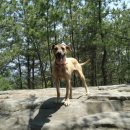 한치농장 이미지