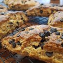 초코칩클래스 이미지