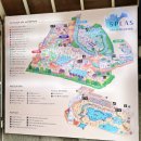 [덕산 여행] 스플라스 리솜② / 스파&amp;워터파크 온천 후기