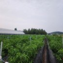 니랑나랑 이미지