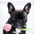 하늘이 준 선물 이미지