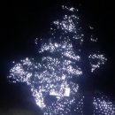 금나한우오리한마당 이미지