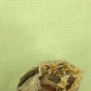 얌샘김밥 아산순천향대점 이미지