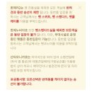 인큐텐유니크패밀리전남센터 | 퀸메리2호 펫스위트룸 목포에서 배타고 애견동반 제주