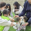 꿈이크는어린이집 이미지