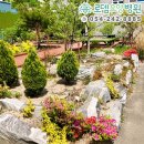 돌담요양병원 이미지