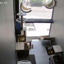 냥코캐슬 이미지