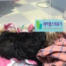 진주산소 이미지