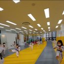 용인대석사2태권도 네이버블로그