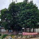 석곡마을회관 이미지