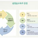 솔빛숲유치원 이미지