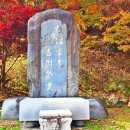 용문산 관광지 이미지