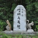 금원산생태수목원 이미지