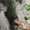 경북정문약국 이미지