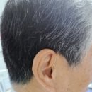 피아노하우스노원지사 | 벨톤보청기 인비전 솔직 후기 5년 동안 4번 실패했던 난청인이 드디어 정착한 이유