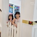 빈센조풀빌라펜션 | 경주 키즈 풀빌라 키즈플레이스 독채펜션이라 좋아요