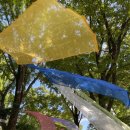 도토리소풍어린이집 | [용인] 한국민속촌 주중 오후권, 조선살인수사, 살귀옥, 혈안식귀 후기