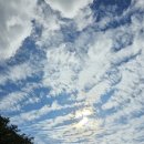 김동규 어느 멋진 날에 공연 | 무지크] 가을 정서와 순수한 마음의 만남: 요양원 방문 공연 후기 (사랑초 요양원, 군포 온누리 요양원)