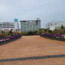 등나무문화공원 이미지