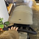 카본리사이클 | 줄즈 데이5 디럭스 유모차 영통 대형매장에서 다양하게 살펴본 후기